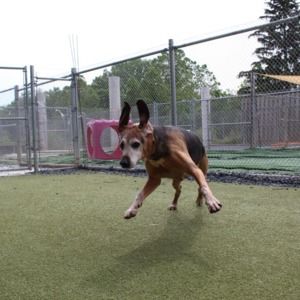 Meet your Posher, Debra